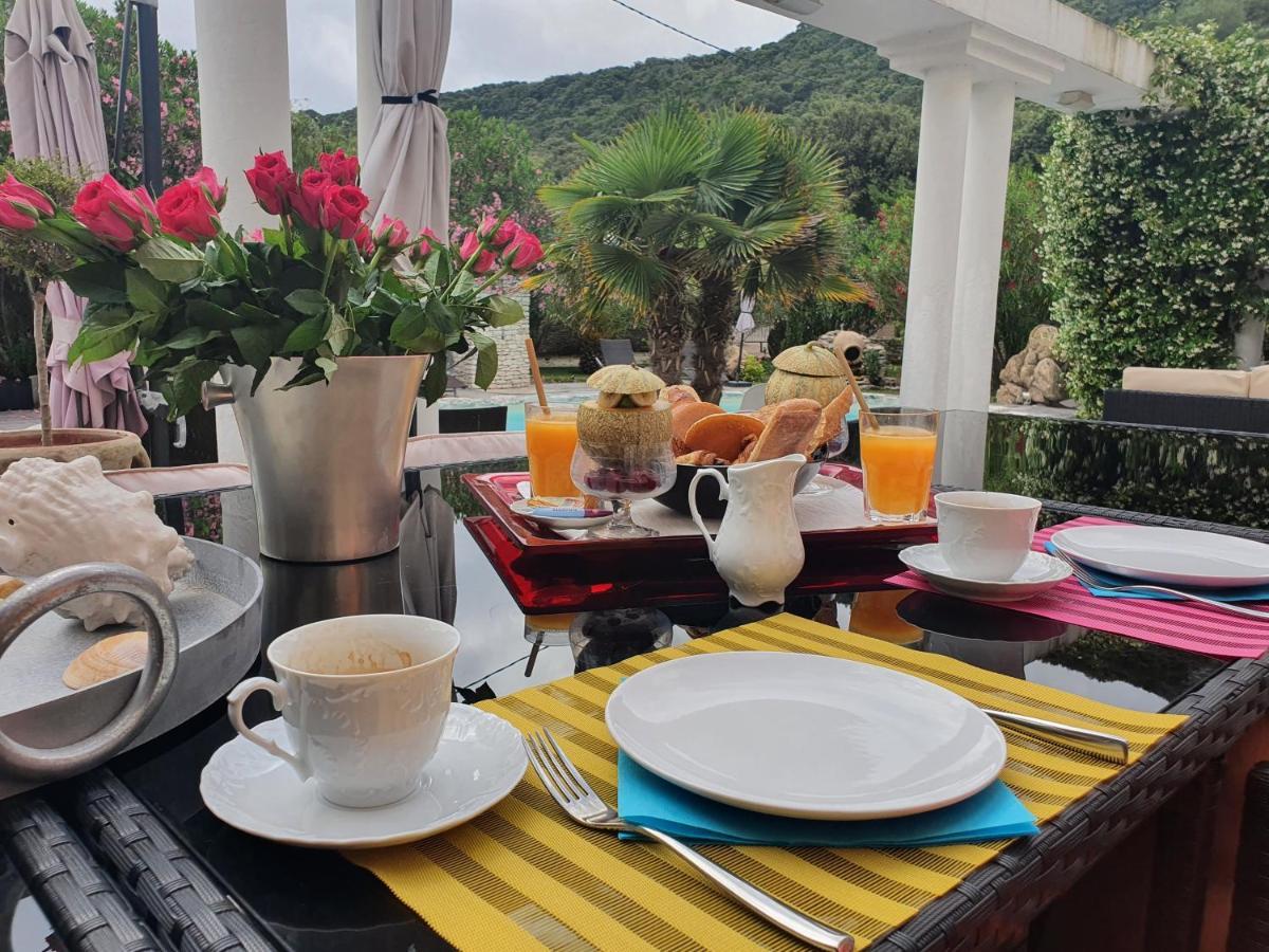 Petra-bianca Bed & Breakfast